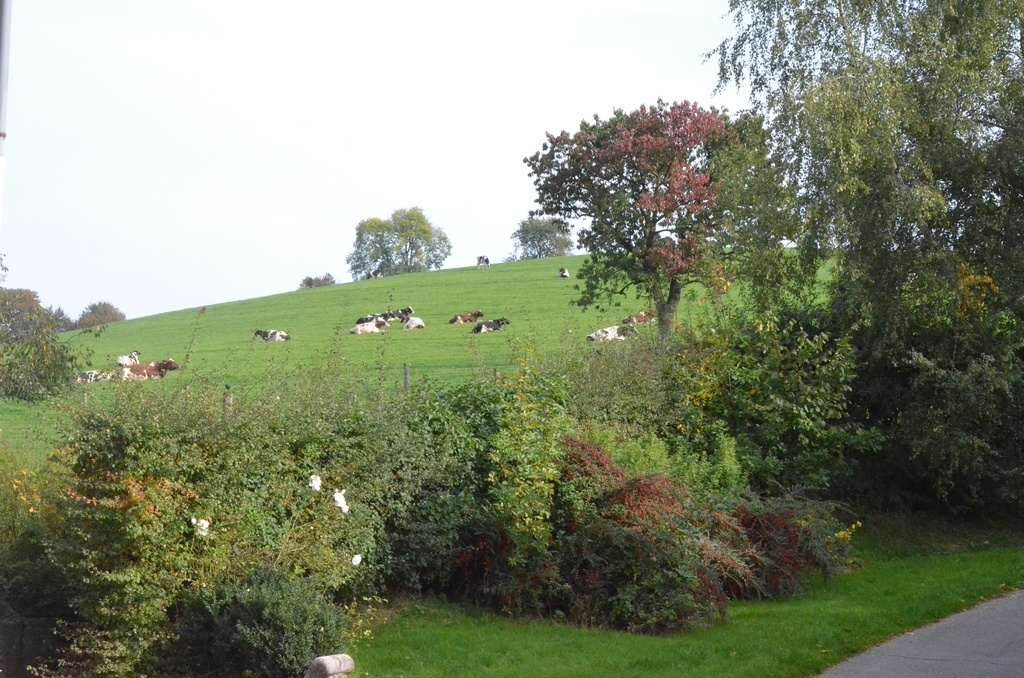 Ferme de Beusdael 5