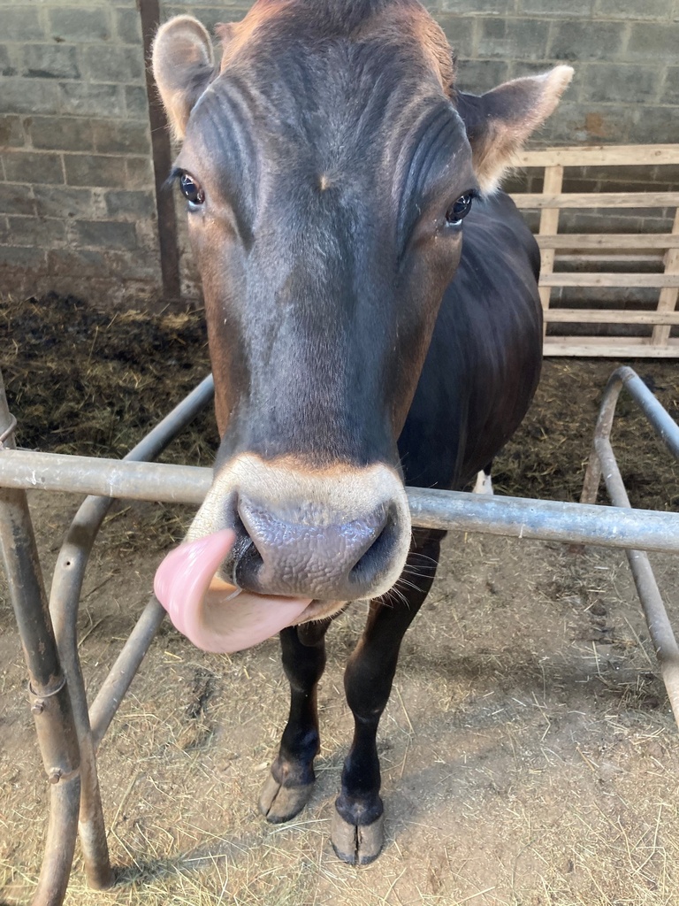 Ferme Lutreboise