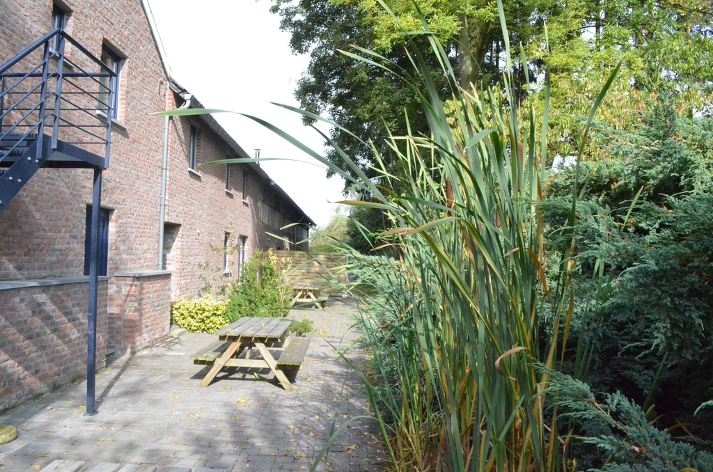 La Ferme de Beusdael - 3