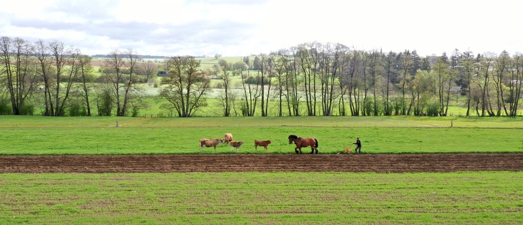 La roulotte des Cwèrbâs