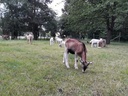 La Ferme du Champ du Loup