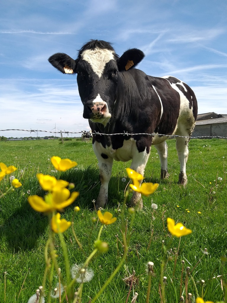 Les Fermes de Chez Nous