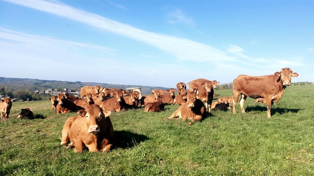 La Ferme Boreux