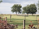 Le Gite de la Ferme de Bourgogne