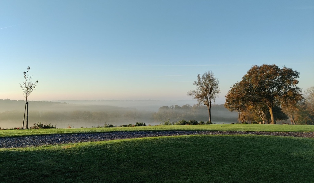 Tru sous la brume.jpg