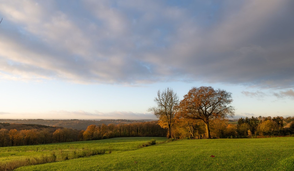 Trussogne couleurs automne .jpg