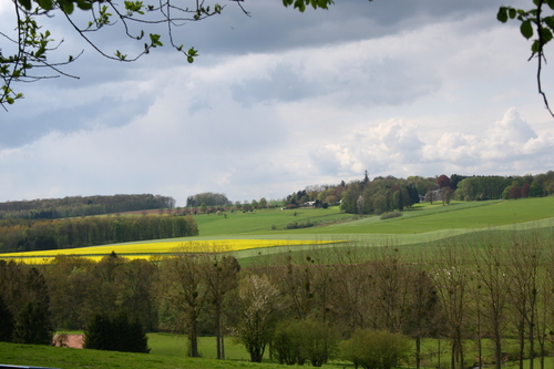 paysage Ossogne 2.jpg