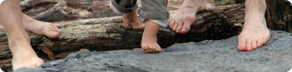 Sentier pieds nus de la Ferme de la Planche