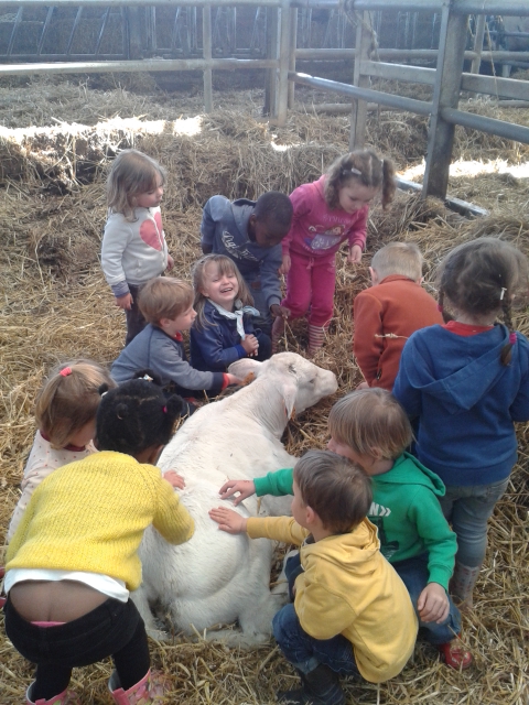 La Ferme de Beauffaux