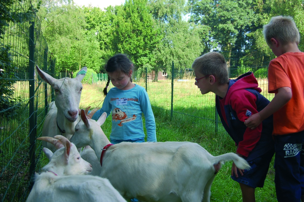 La Ferme du Planois