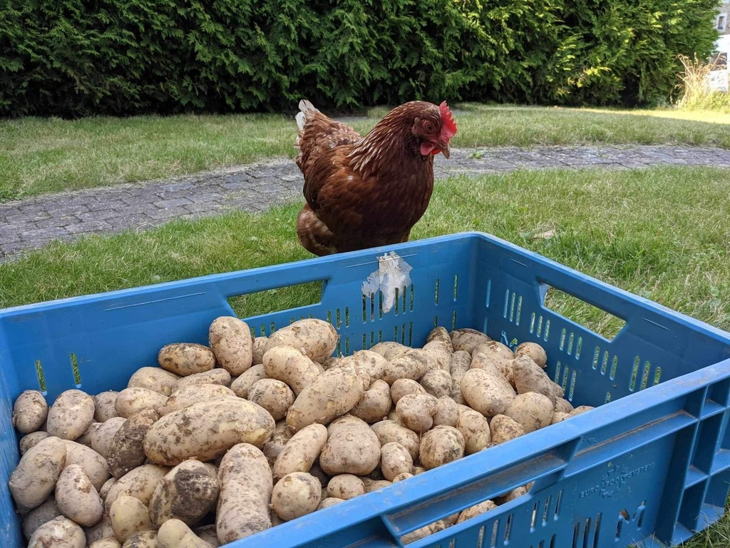 La Ferme de Magoster