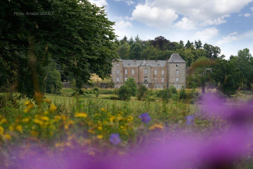 Château de Wagnée