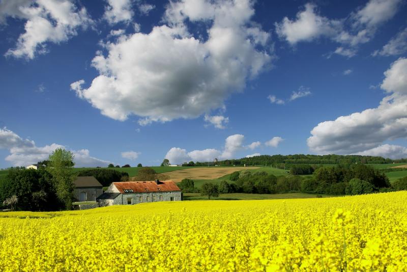 La Ferme de Behoute