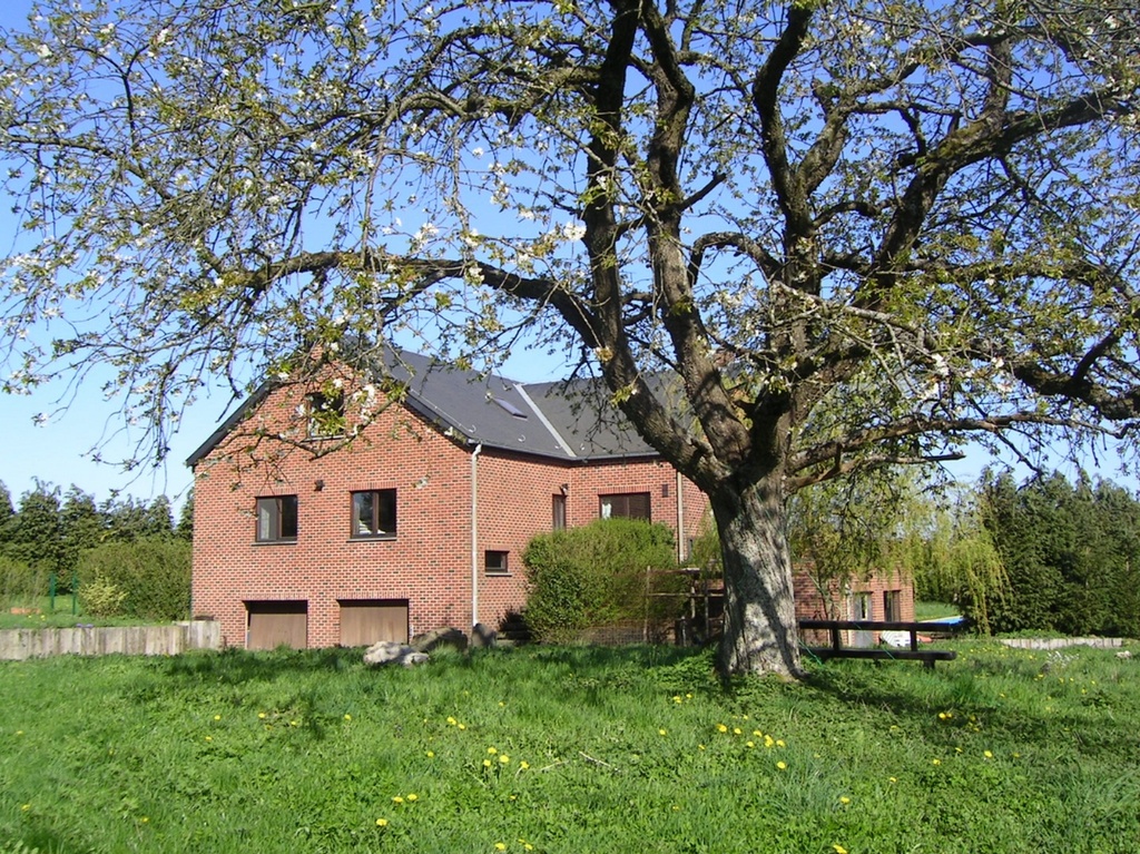 L'Orchidée Blanche