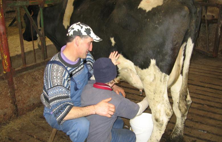 La Ferme de la Strée