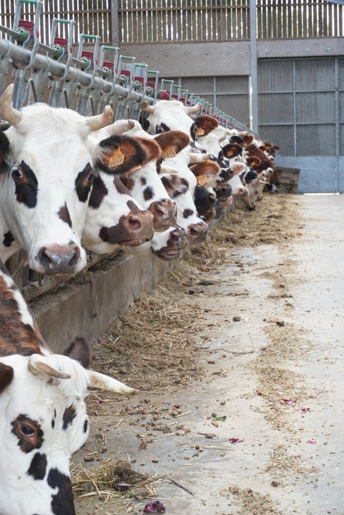 Ferme du Pavé